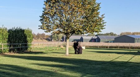 DRA Coachingt DRA Coaching