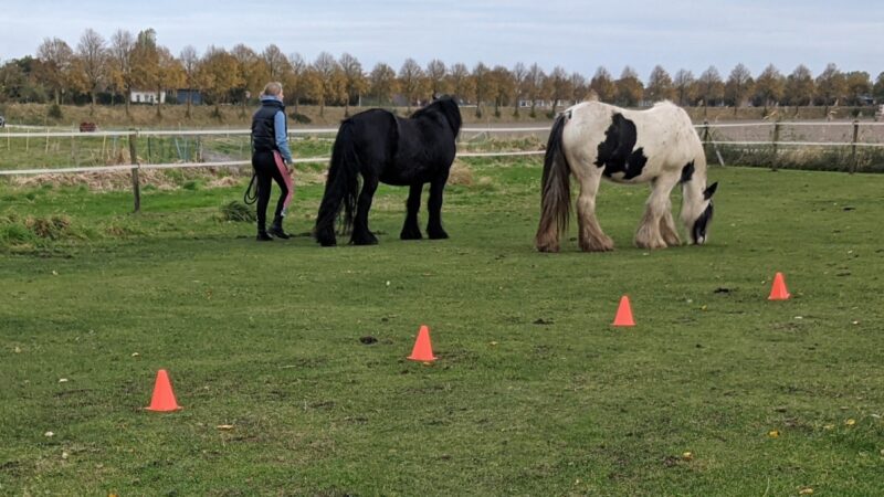 DRA Coaching DRA Coaching