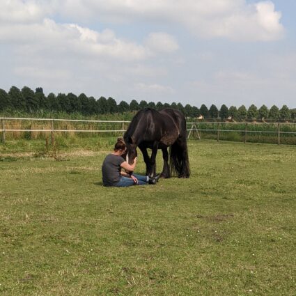 DRA Coaching Individueel DRA Coaching Individueel