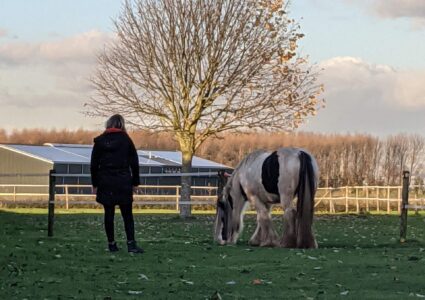 DRA Coaching DRA Coaching