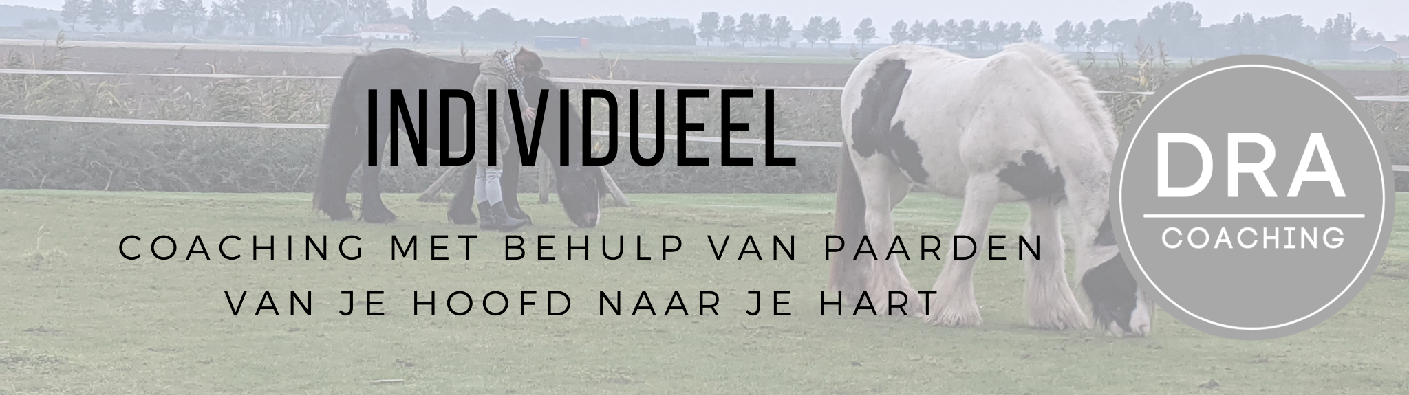 Individueel Banner (2048 x 575 px) Individueel Banner (2048 x 575 px)