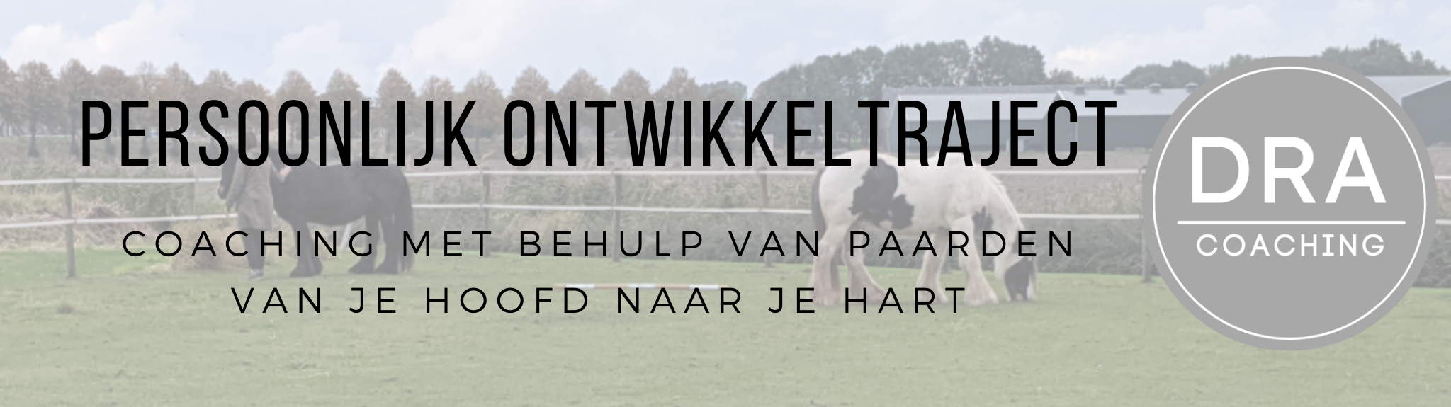 Persoonlijk ontwikkeltraject Banner (2048 x 575 px) (1) Persoonlijk ontwikkeltraject Banner (2048 x 575 px) (1)