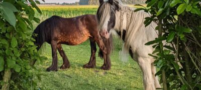 DRA Coaching DRA Coaching